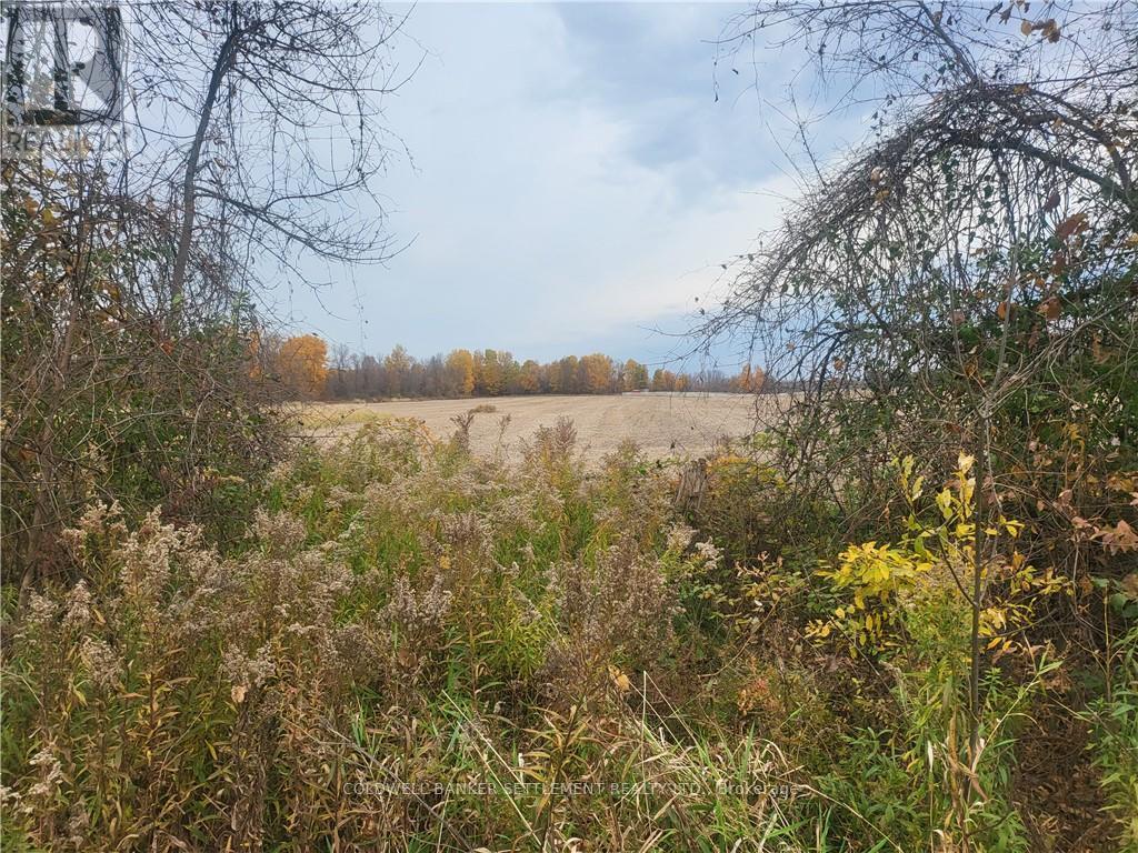 Lot 5 Bush Road, Rideau Lakes, Ontario  K0G 1E0 - Photo 3 - X9524217