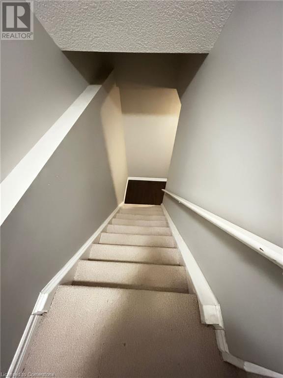 224 Purple Sage Crescent, Kitchener, Ontario  N2E 4G5 - Photo 13 - 40684705