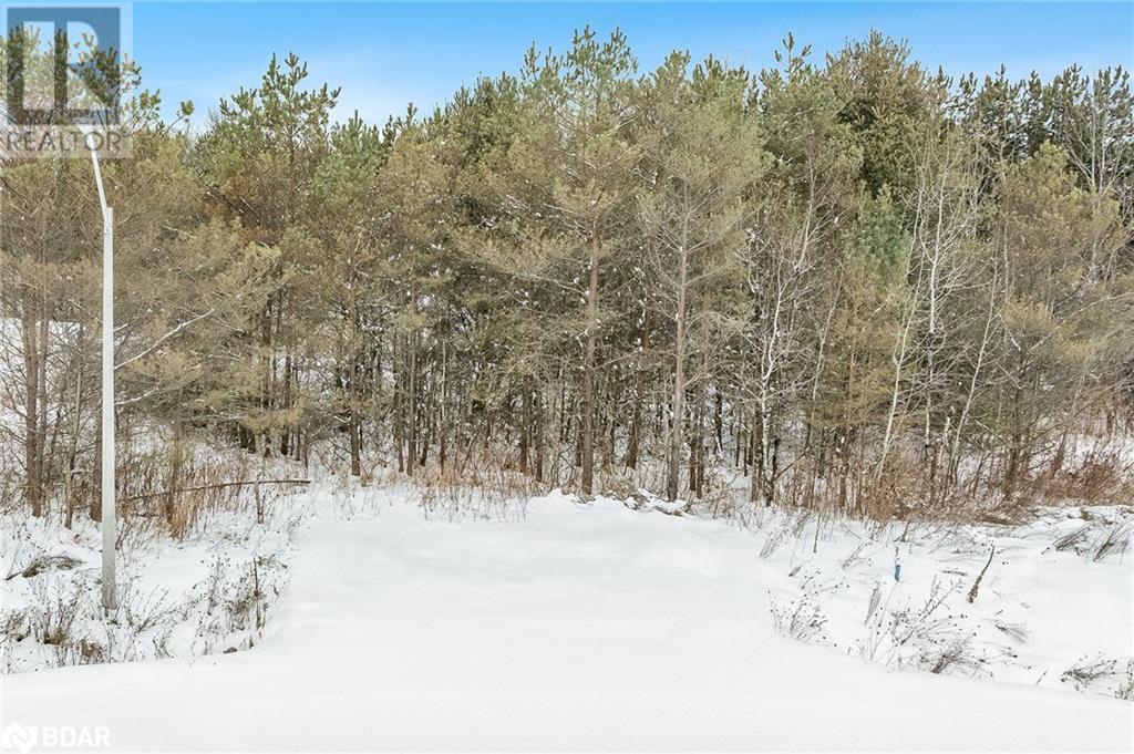 Lot 24 Rue Eric, Tiny, Ontario  L9M 0H1 - Photo 1 - 40499462