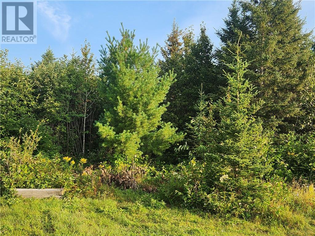 1818 Vermillion Lake Road, Chelmsford, Ontario  P0M 1L0 - Photo 2 - 2120241