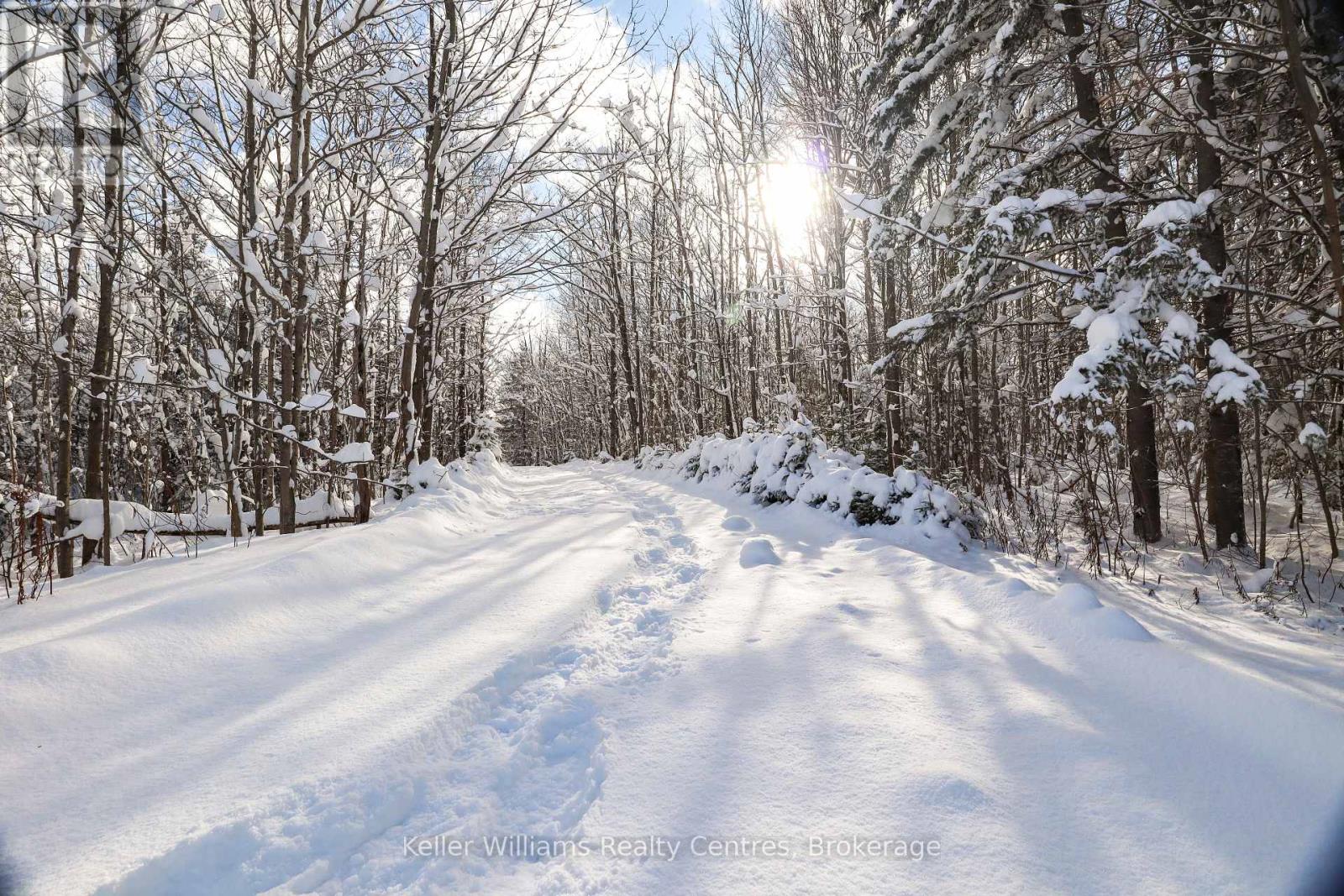 825304 Grey Rd 40, Grey Highlands, Ontario  N0C 1H0 - Photo 6 - X11897211