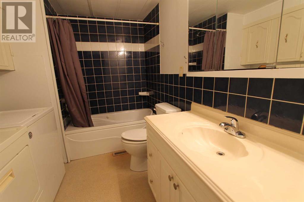 160 Anson Avenue Sw, Medicine Hat, Alberta  T1A 8A3 - Photo 20 - A2184070