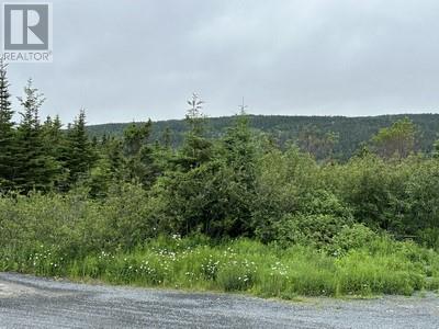 164-174 Forest Road, Carbonear, Newfoundland & Labrador  A1Y 1A6 - Photo 3 - 1280458