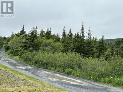 164-174 Forest Road, Carbonear, Newfoundland & Labrador  A1Y 1A6 - Photo 4 - 1280458