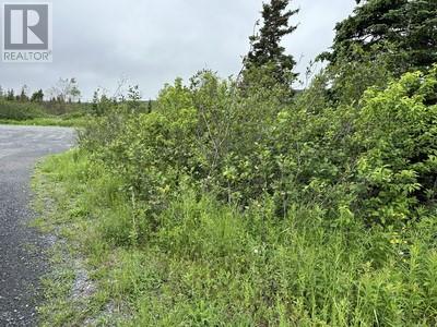 164-174 Forest Road, Carbonear, Newfoundland & Labrador  A1Y 1A6 - Photo 6 - 1280458