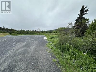 164-174 Forest Road, Carbonear, Newfoundland & Labrador  A1Y 1A6 - Photo 7 - 1280458