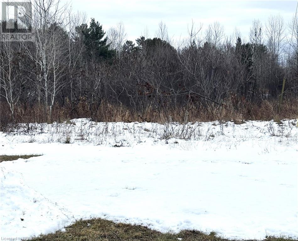 18 Pinewood Park Drive, North Bay, Ontario  P1B 8Z4 - Photo 5 - 40682957