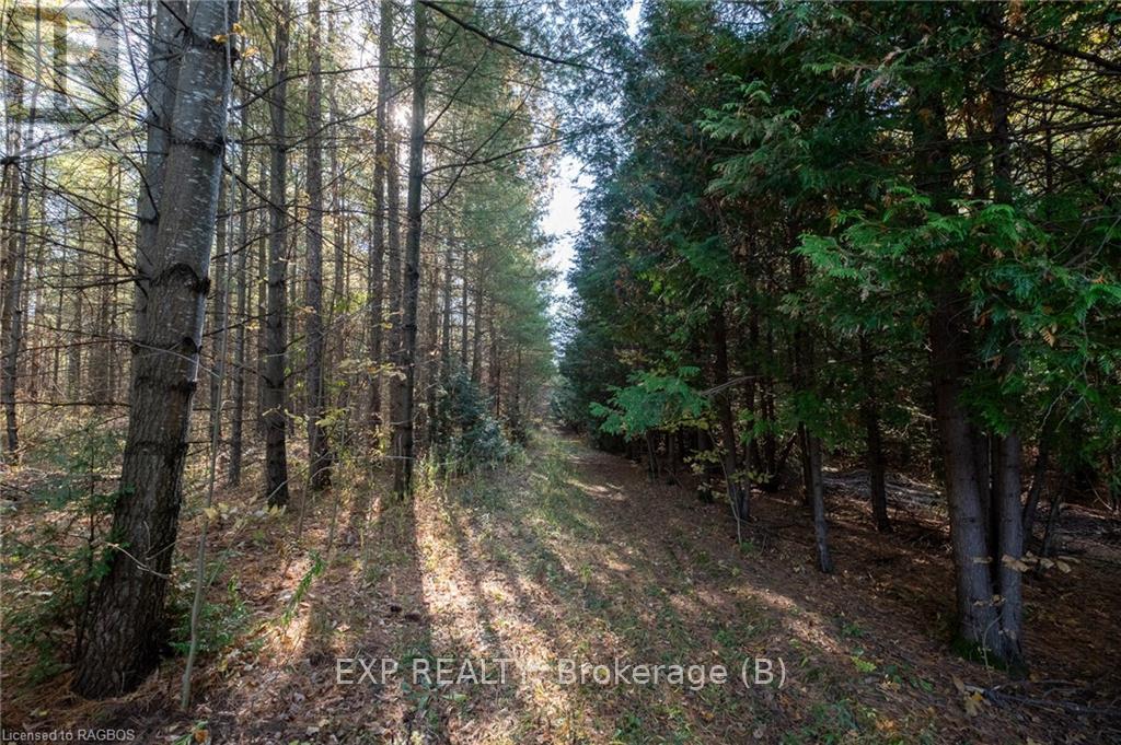Lot 25 Concession Road 10, West Grey, Ontario  N0G 1S0 - Photo 22 - X11823142