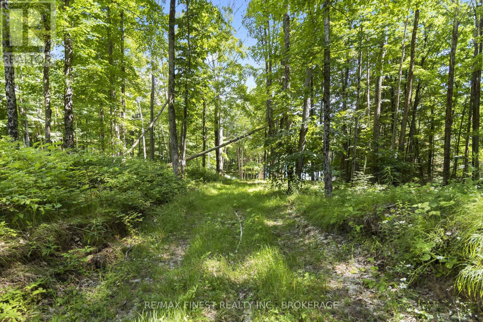 Lot 14 -15 0 Thunder Lane, Central Frontenac, Ontario  K0H 1B0 - Photo 1 - X11897523