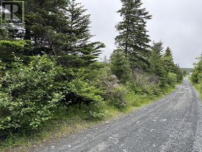 249-269 Forest Road Extension, Carbonear, Newfoundland & Labrador  A1Y 1A6 - Photo 3 - 1280460