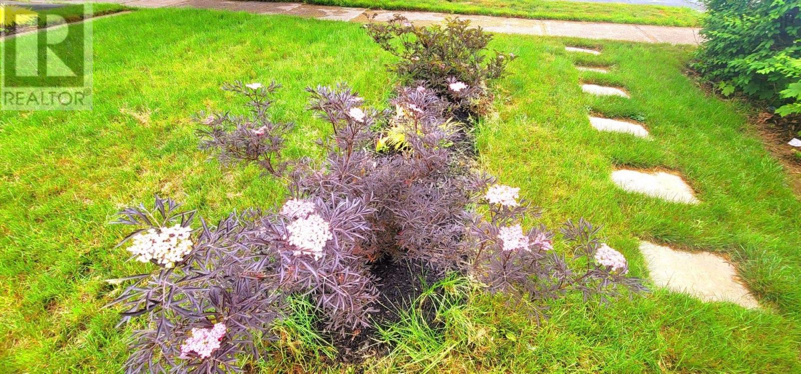 3500 Rowe Avenue, Halifax, Nova Scotia  B3L 4C7 - Photo 38 - 202428484