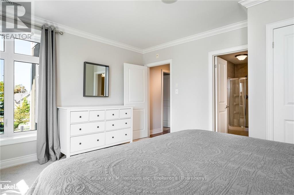 201 - 27 Beaver Street S, Blue Mountains, Ontario  N0H 2P0 - Photo 22 - X10435449