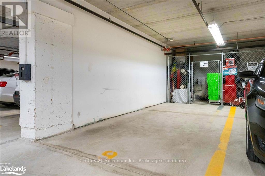 201 - 27 Beaver Street S, Blue Mountains, Ontario  N0H 2P0 - Photo 27 - X10435449