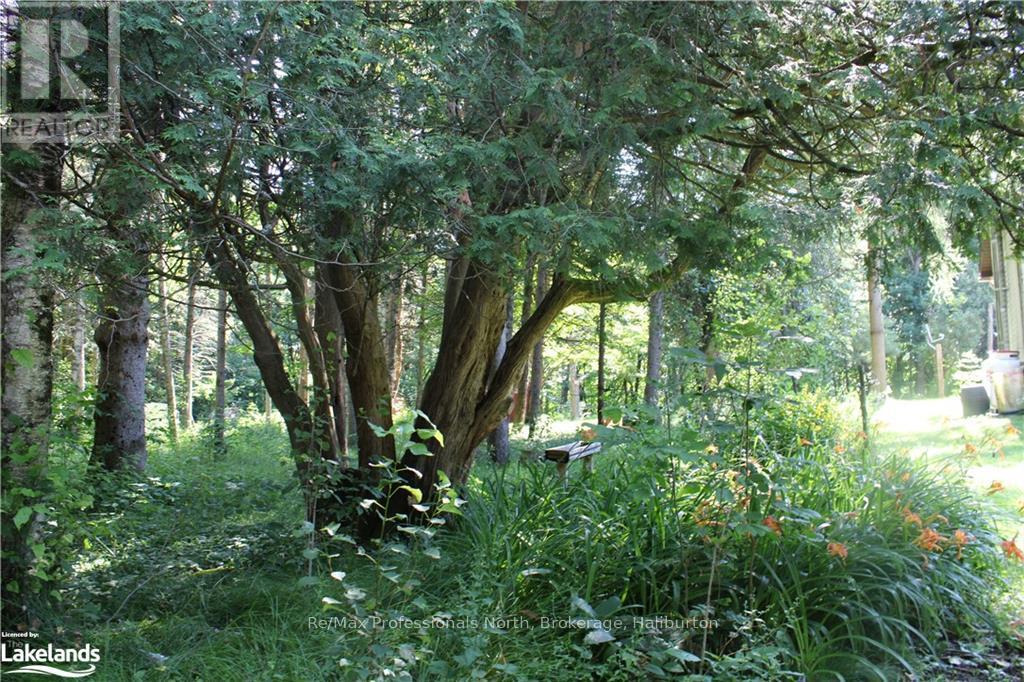 1200 Glamor Lake Road, Highlands East, Ontario  K0M 1R0 - Photo 10 - X10438626