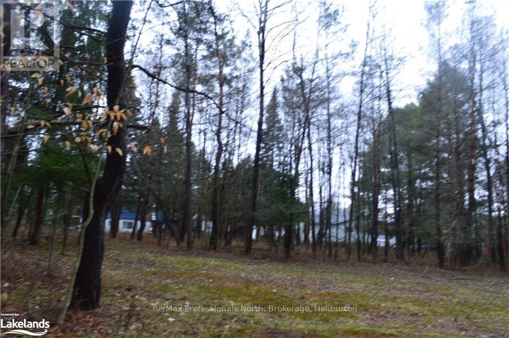 1200 Glamor Lake Road, Highlands East, Ontario  K0M 1R0 - Photo 37 - X10438626