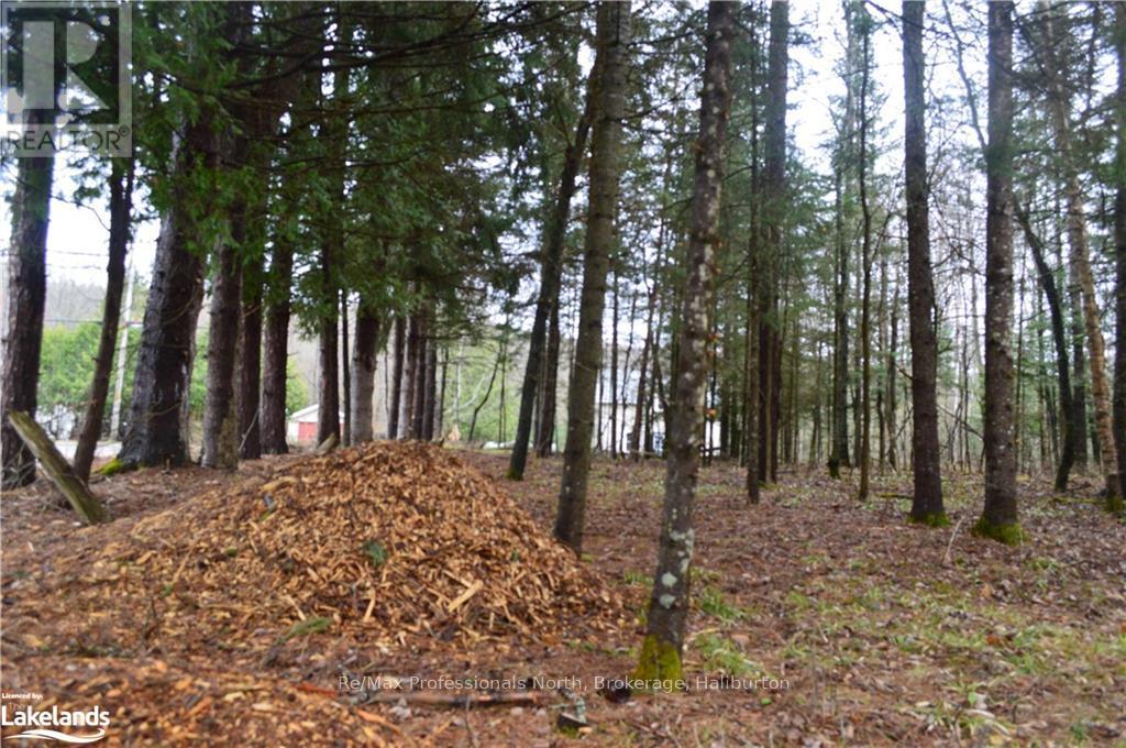 1200 Glamor Lake Road, Highlands East, Ontario  K0M 1R0 - Photo 38 - X10438626