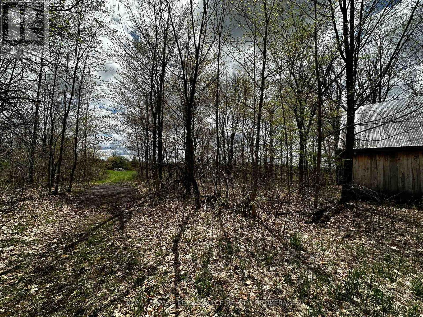 Lot 3 Jamieson Road, South Frontenac, Ontario  K0H 1V0 - Photo 16 - X11898039