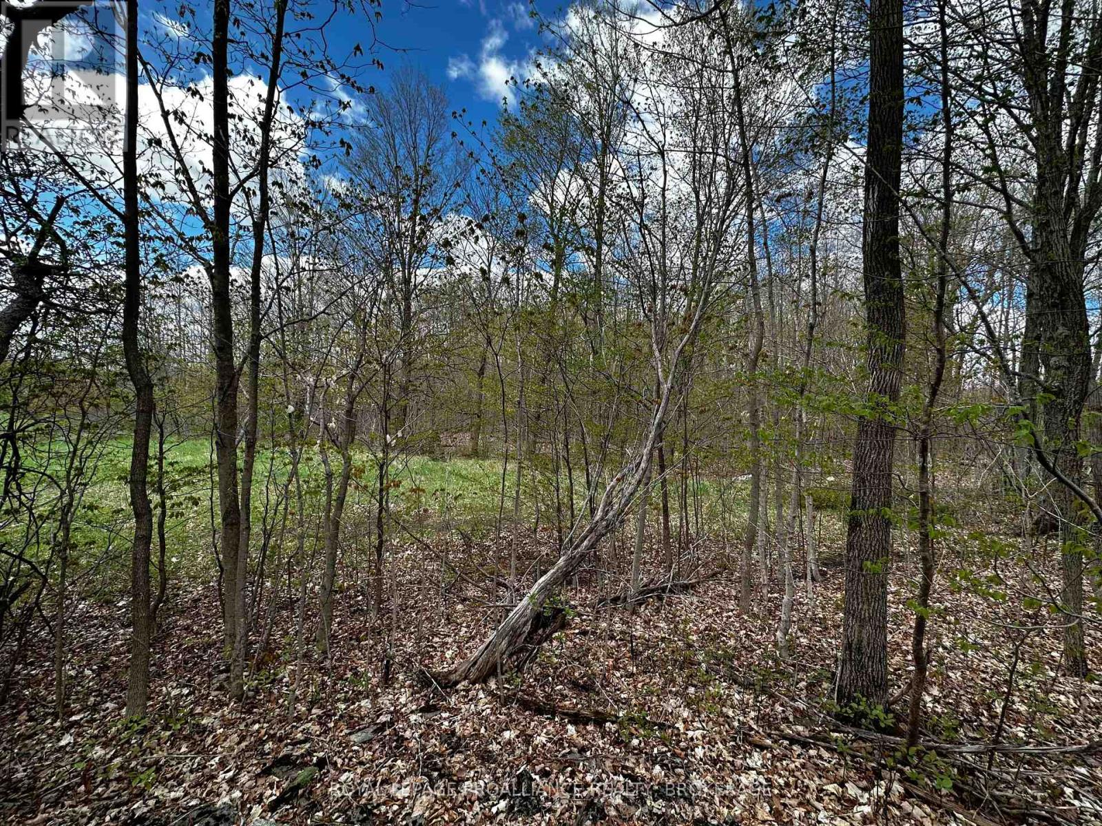 Lot 3 Jamieson Road, South Frontenac, Ontario  K0H 1V0 - Photo 6 - X11898039