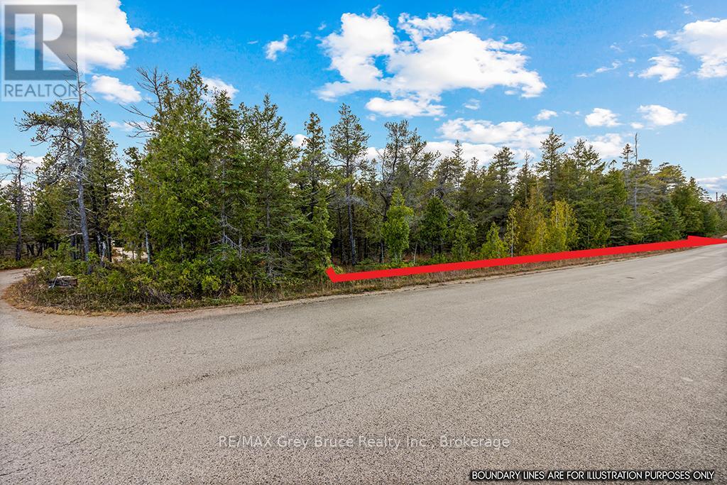 660 Dorcas Bay Road, Northern Bruce Peninsula, Ontario  N0H 2R0 - Photo 10 - X11898098