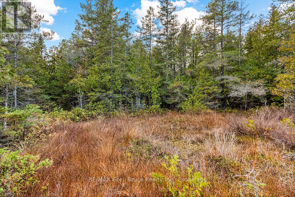 660 Dorcas Bay Road, Northern Bruce Peninsula, Ontario  N0H 2R0 - Photo 19 - X11898098