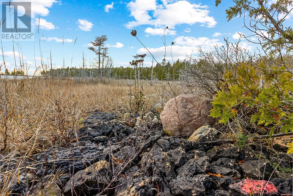 660 Dorcas Bay Road, Northern Bruce Peninsula, Ontario  N0H 2R0 - Photo 22 - X11898098