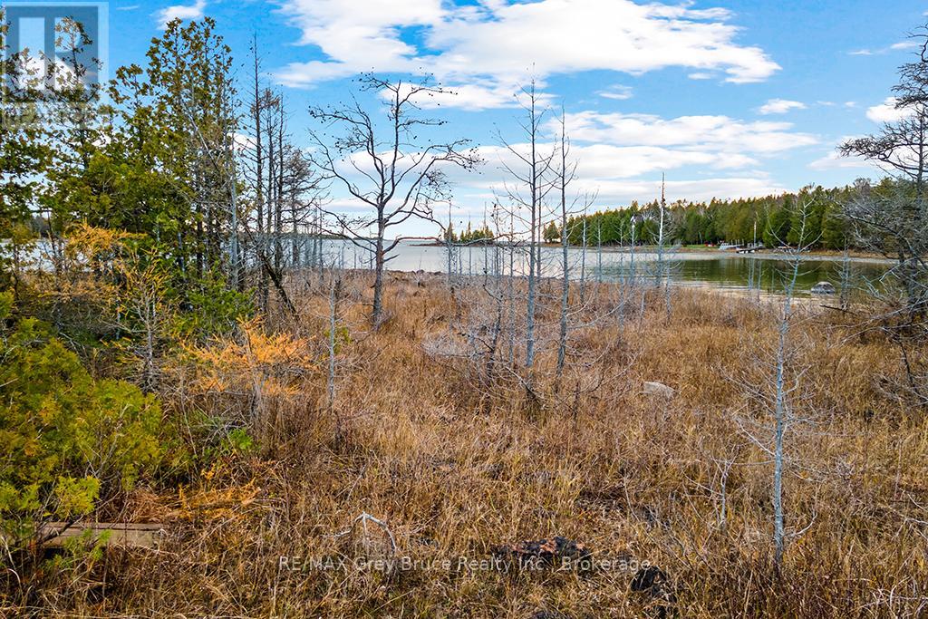 660 Dorcas Bay Road, Northern Bruce Peninsula, Ontario  N0H 2R0 - Photo 24 - X11898098