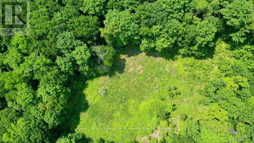 22 Buckvale Drive, Mcmurrich/monteith, Ontario  P0A 1Y0 - Photo 10 - X11898154