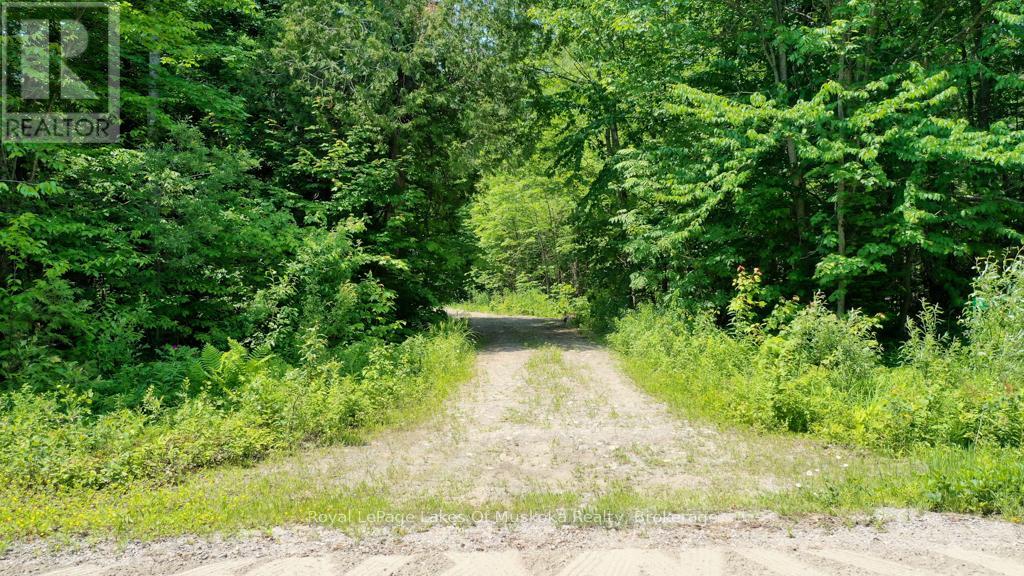 22 Buckvale Drive, Mcmurrich/monteith, Ontario  P0A 1Y0 - Photo 2 - X11898154