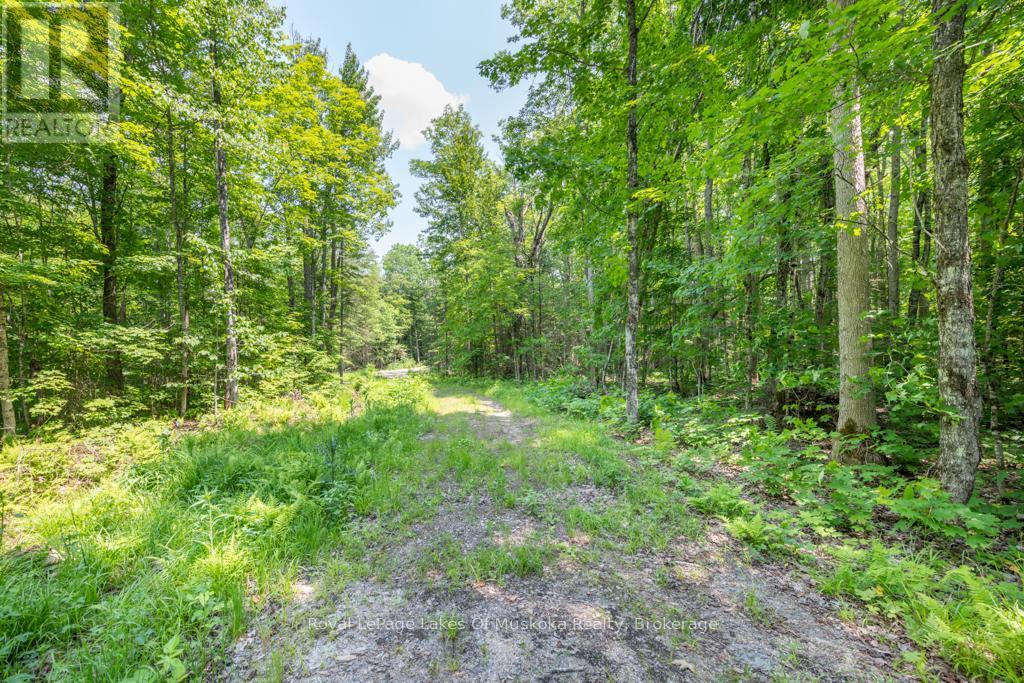 22 Buckvale Drive, Mcmurrich/monteith, Ontario  P0A 1Y0 - Photo 3 - X11898154