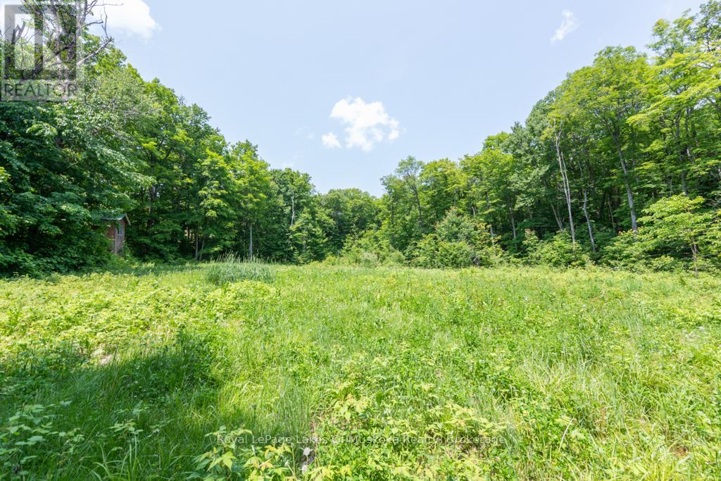 22 Buckvale Drive, Mcmurrich/monteith, Ontario  P0A 1Y0 - Photo 5 - X11898154