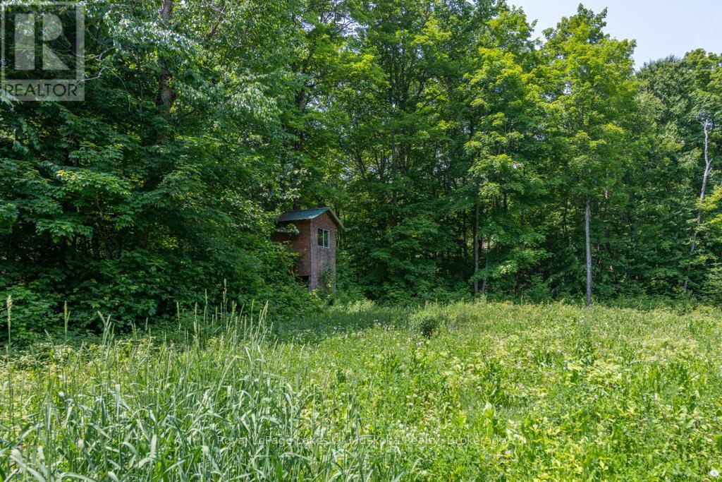 22 Buckvale Drive, Mcmurrich/monteith, Ontario  P0A 1Y0 - Photo 6 - X11898154