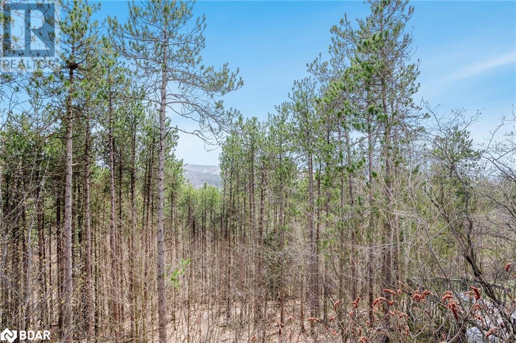 7 Pine Point, Oro-Medonte, Ontario  L4M 4Y8 - Photo 13 - 40670192