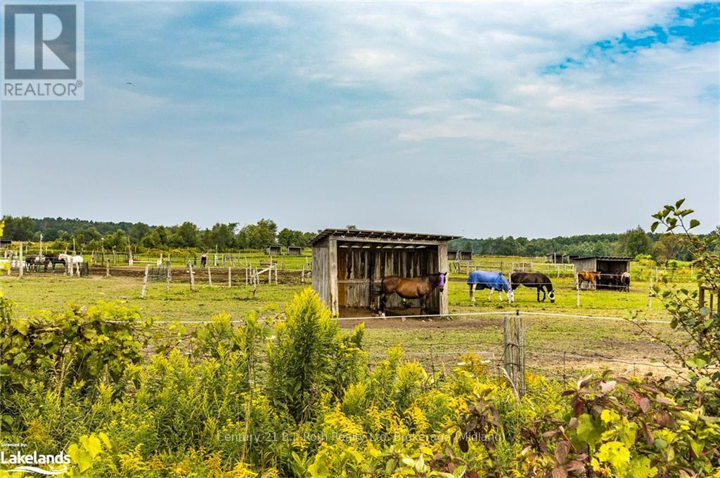 526 Concession 17 W, Tiny, Ontario  L9M 0K1 - Photo 27 - S10438234