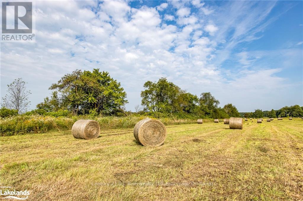 526 Concession 17 W, Tiny, Ontario  L9M 0K1 - Photo 34 - S10438234