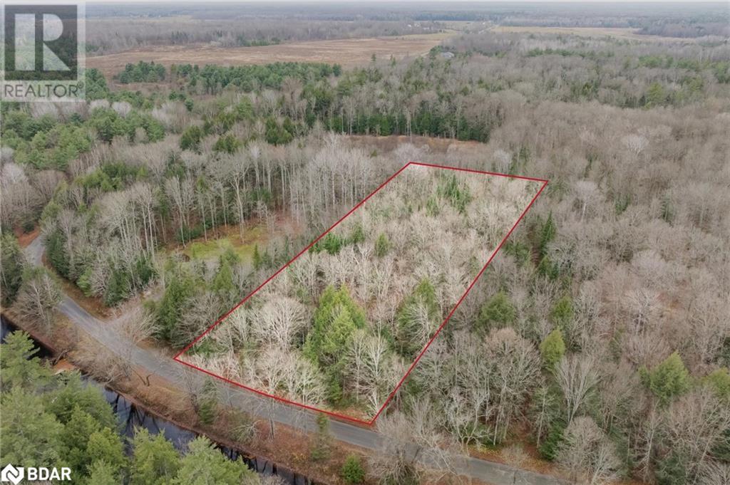 7950 Kings River Road, Ramara, Ontario  L0K 2B0 - Photo 2 - 40673439