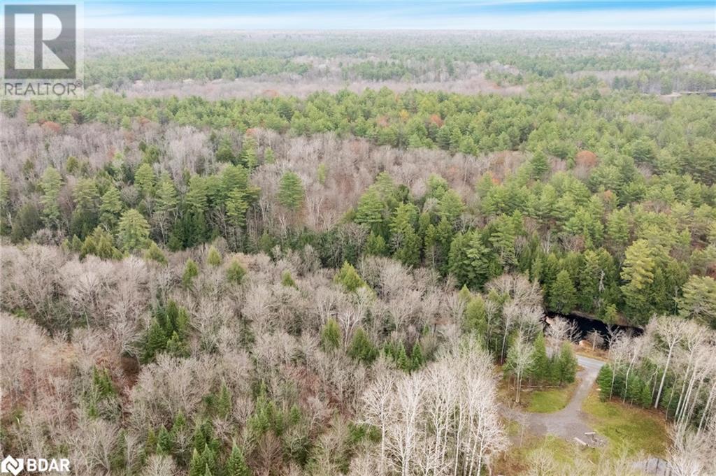 7950 Kings River Road, Ramara, Ontario  L0K 2B0 - Photo 9 - 40673439