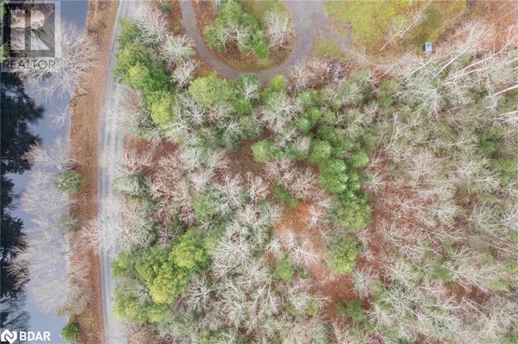 7950 Kings River Road, Ramara, Ontario  L0K 2B0 - Photo 7 - 40673439