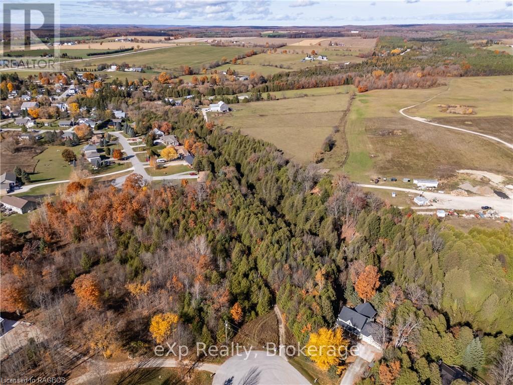 Lt 1 Pt 821 Inglis Drive, Grey Highlands, Ontario  N0C 1M0 - Photo 11 - X11898797