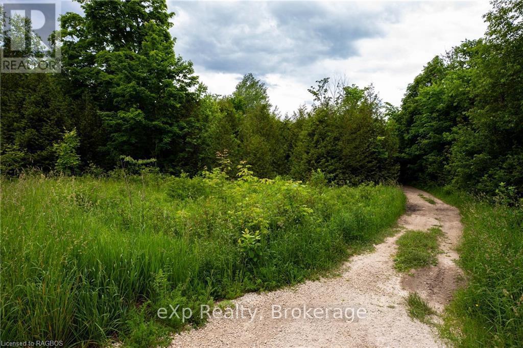 Lt 1 Pt 821 Inglis Drive, Grey Highlands, Ontario  N0C 1M0 - Photo 17 - X11898797