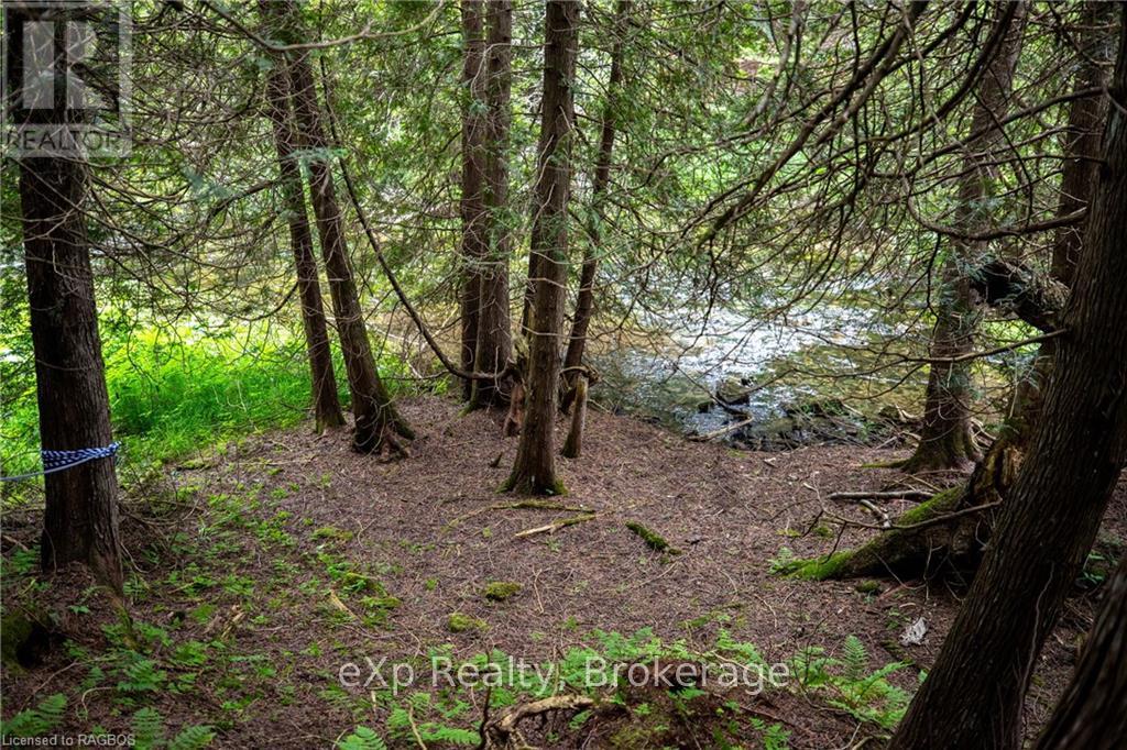 Lt 1 Pt 821 Inglis Drive, Grey Highlands, Ontario  N0C 1M0 - Photo 2 - X11898797