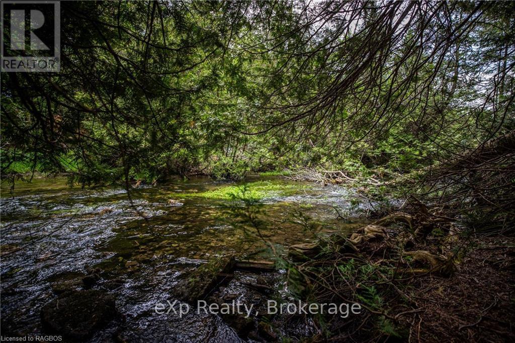 Lt 1 Pt 821 Inglis Drive, Grey Highlands, Ontario  N0C 1M0 - Photo 4 - X11898797