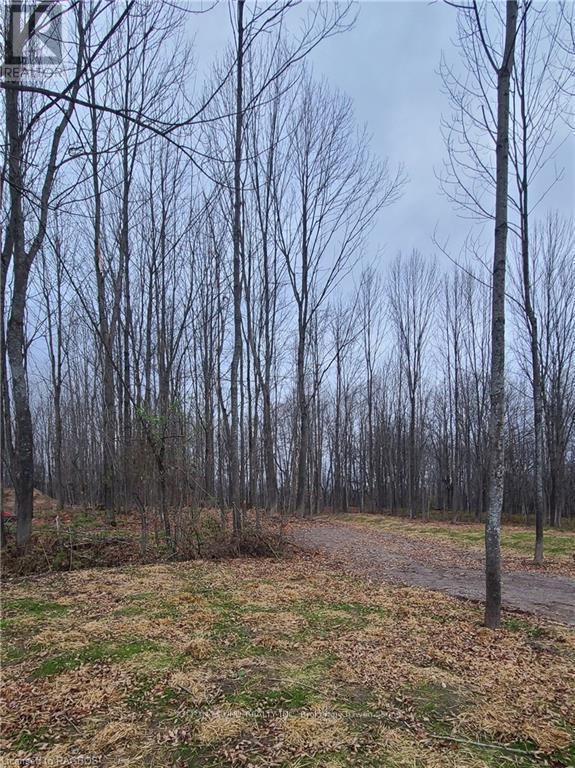 130 Maple Ridge Road, Georgian Bluffs, Ontario  N4K 5N4 - Photo 1 - X11898810