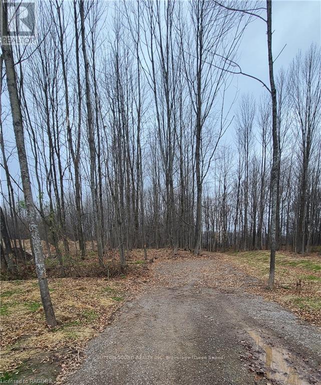 130 Maple Ridge Road, Georgian Bluffs, Ontario  N4K 5N4 - Photo 2 - X11898810