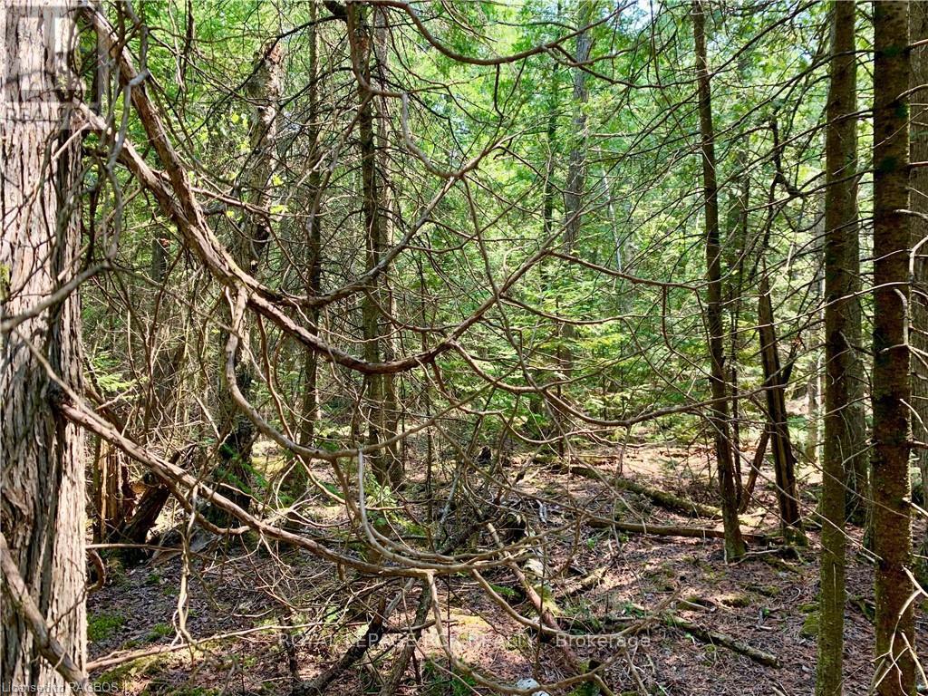 30 Pike Street, Northern Bruce Peninsula, Ontario  N0H 1W0 - Photo 10 - X11898842