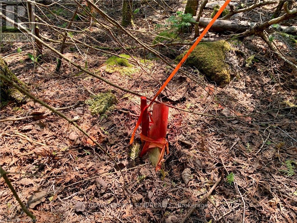 30 Pike Street, Northern Bruce Peninsula, Ontario  N0H 1W0 - Photo 14 - X11898842