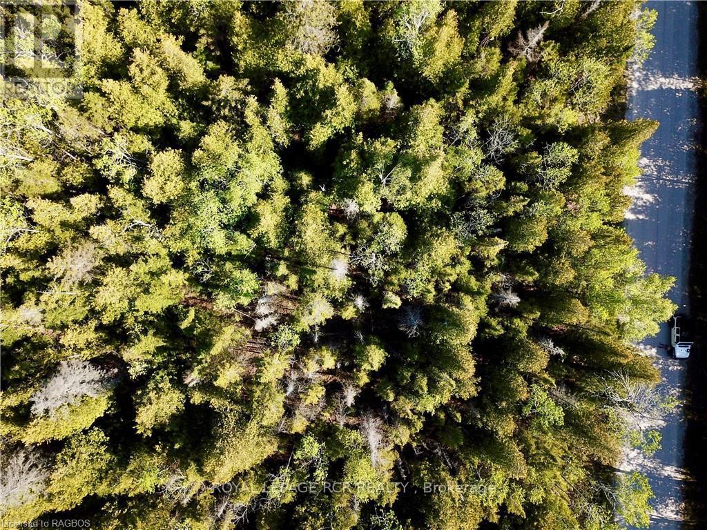 30 Pike Street, Northern Bruce Peninsula, Ontario  N0H 1W0 - Photo 16 - X11898842