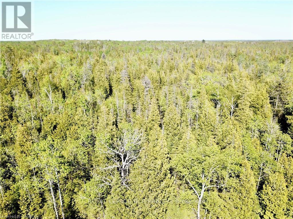 30 Pike Street, Northern Bruce Peninsula, Ontario  N0H 1W0 - Photo 8 - X11898842