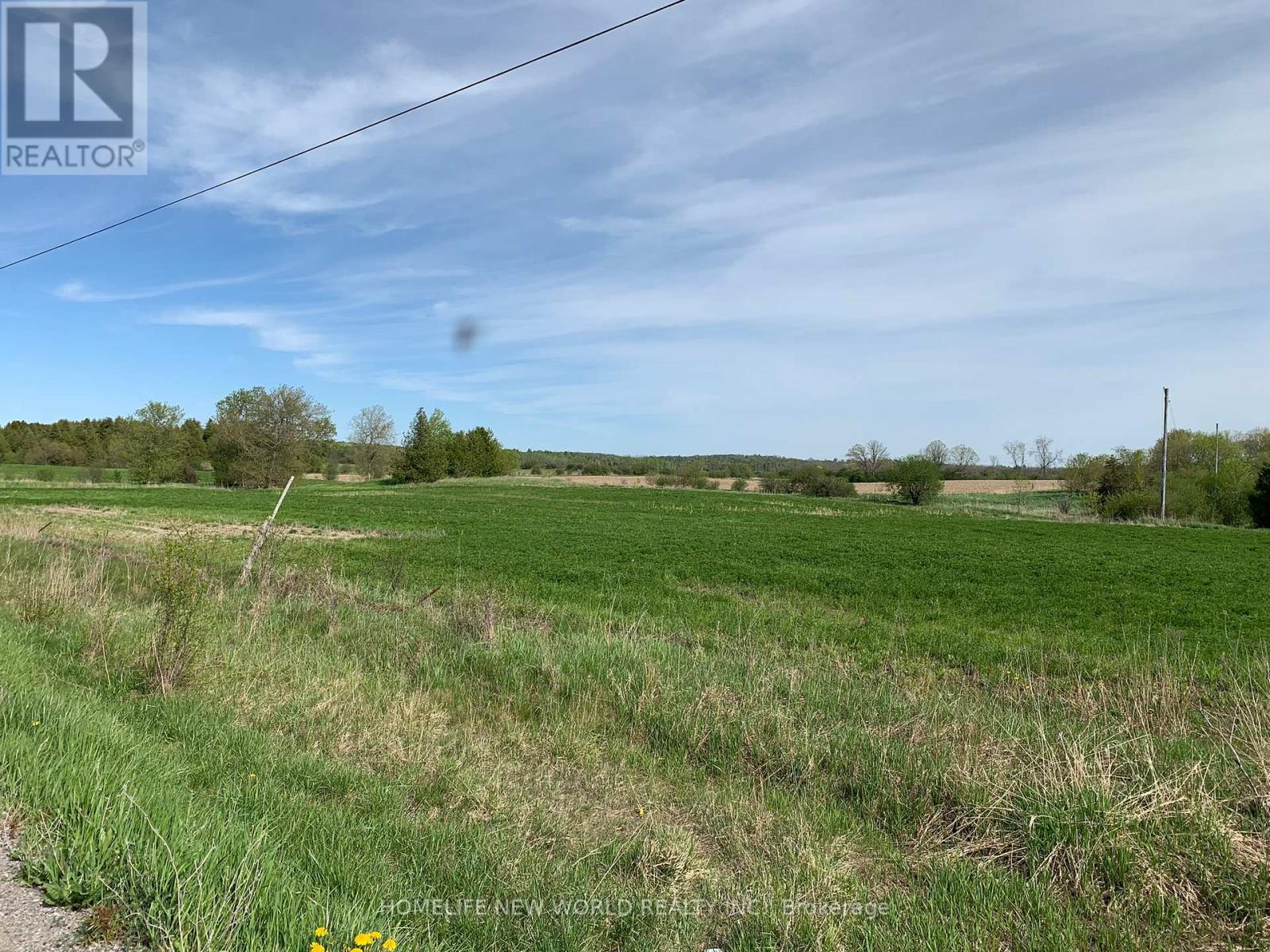 109 Pefferlaw Road, Georgina, Ontario  L0E 1N0 - Photo 21 - N11899060