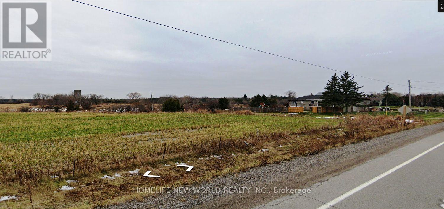 109 Pefferlaw Road, Georgina, Ontario  L0E 1N0 - Photo 24 - N11899060