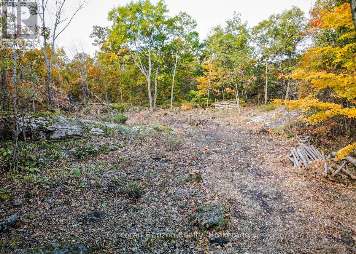 Lot A - 87 Corrievale Rd, Georgian Bay, Ontario  L0K 1S0 - Photo 2 - X11897988